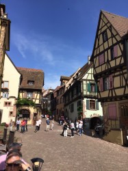 colmar2019deel2 (54)